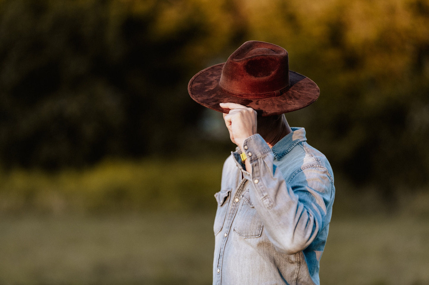 Fedora | LAVATERA